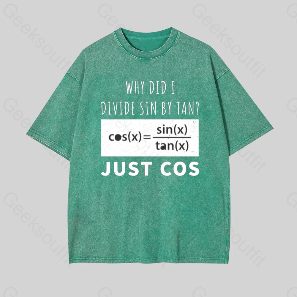 Why Did I Divide Sin By Tan Geek Washed T-Shirt Grass Green / S