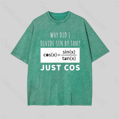 Why Did I Divide Sin By Tan Geek Washed T-Shirt Grass Green / S