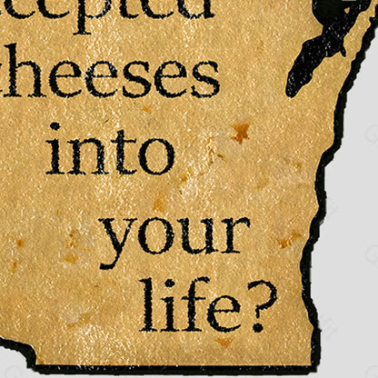 Wisconsin Cheese Pun Funny Imitation Wool Rug