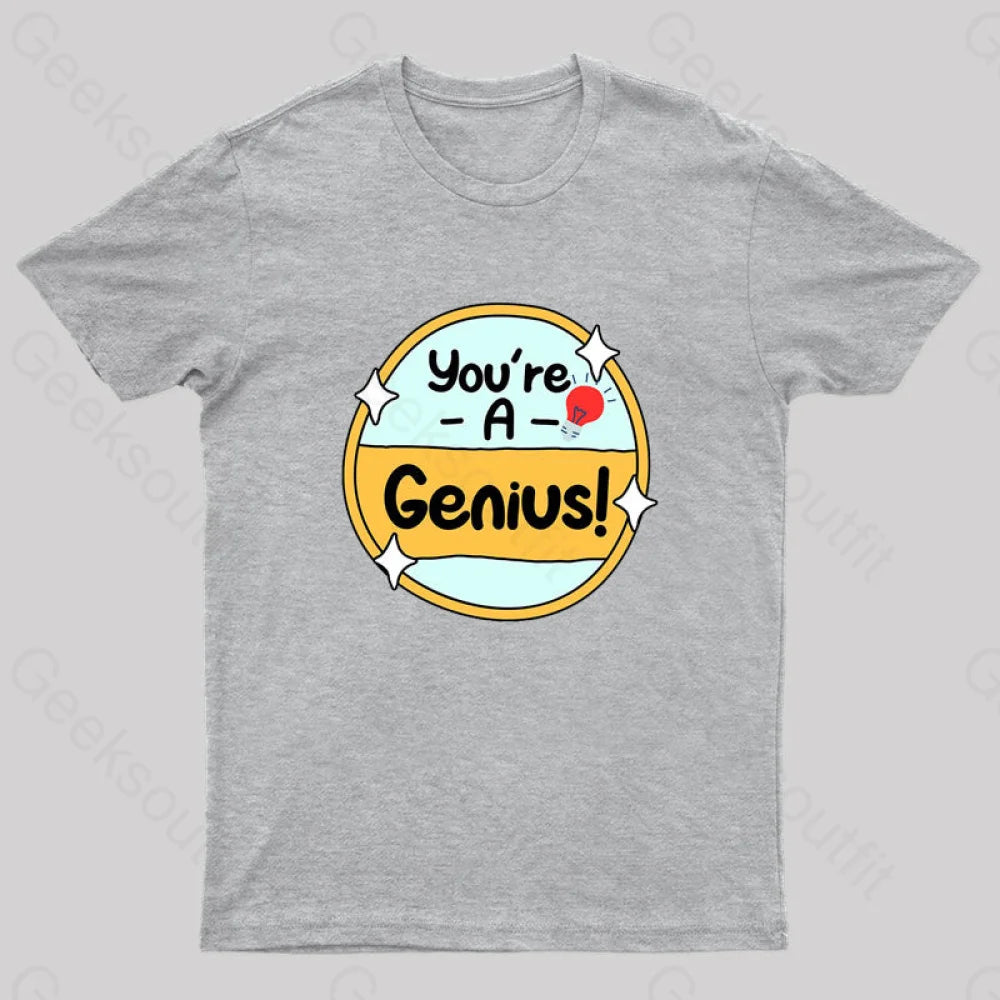 You Are A Genius Geek T-Shirt Grey / S